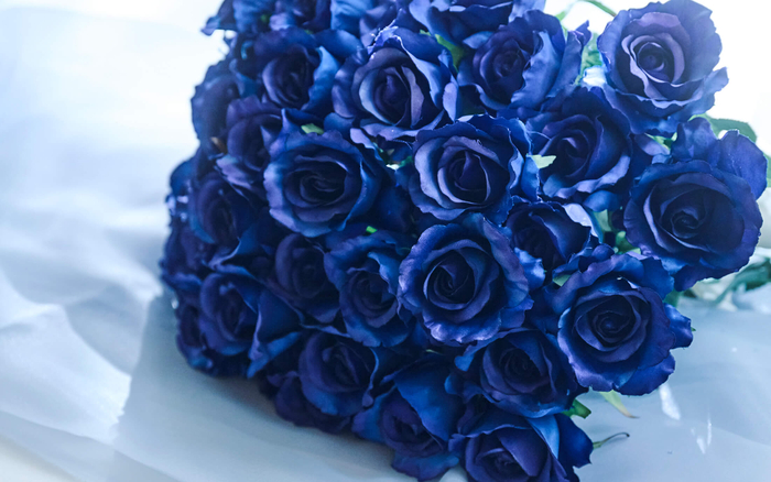 ブルーローズの花束イメージ