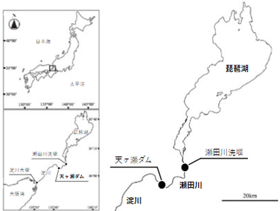 図1 琵琶湖~瀬田川水系における瀬田川の位置