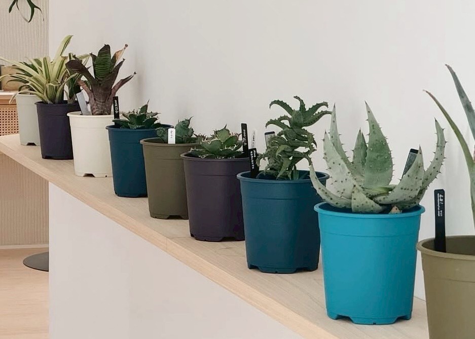 室内飾りつけイメージ