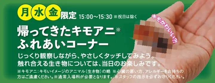 ふれあいコーナー