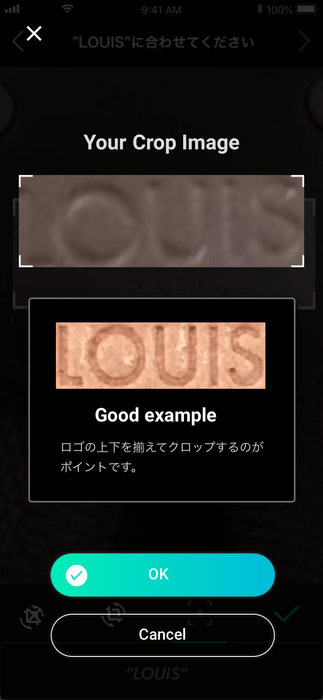 LOUIS VUITTON真贋判定