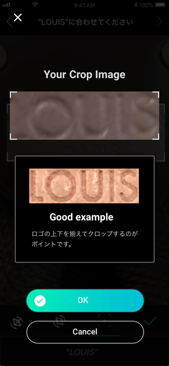 LOUIS VUITTON真贋判定
