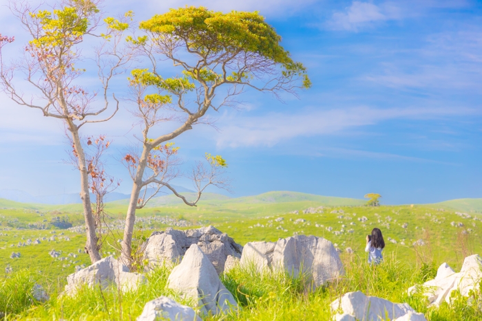 2022年 最優秀賞