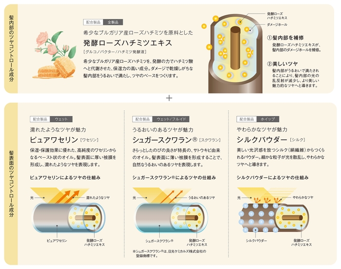 髪の内と外に作用するツヤコントロール成分