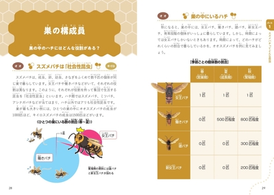 ■Part1　スズメバチってどんな昆虫　巣の構成員