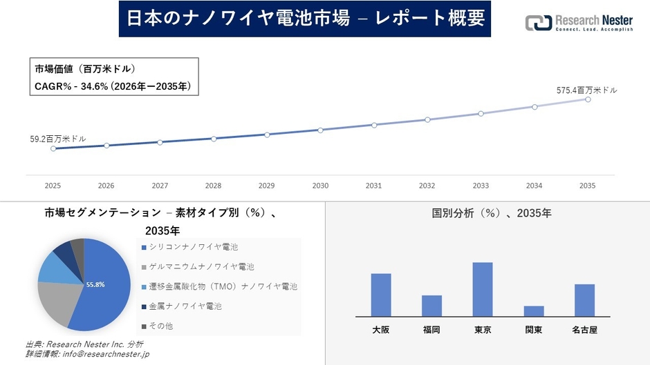 日本のナノワイヤ電池市場