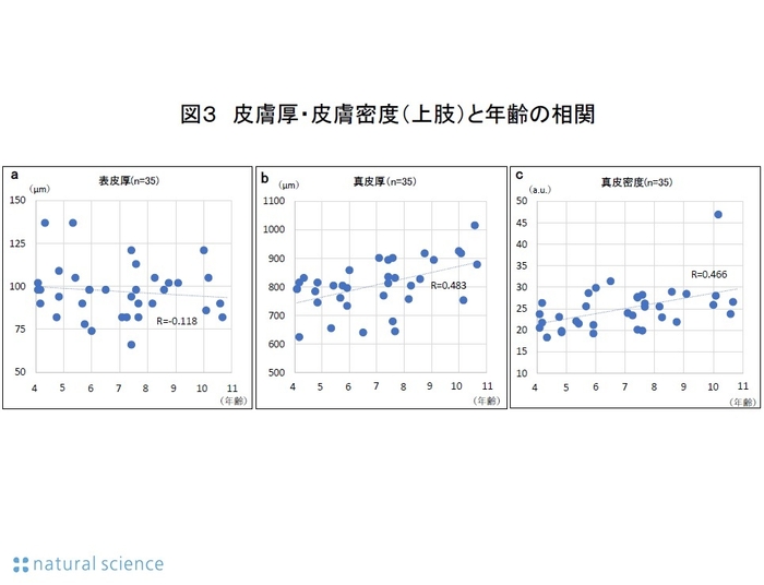 図3_皮膚厚・皮膚密度(上肢)と年齢の相関