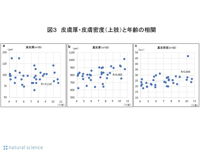 図３_皮膚厚・皮膚密度（上肢）と年齢の相関