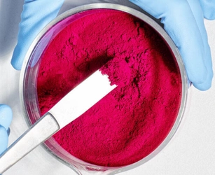 キナクリドン顔料業界レポート2026：市場成長率、投資機会、サプライリスク評価