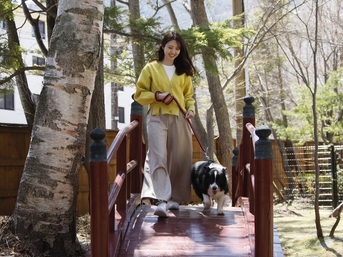 中庭ドッグラン