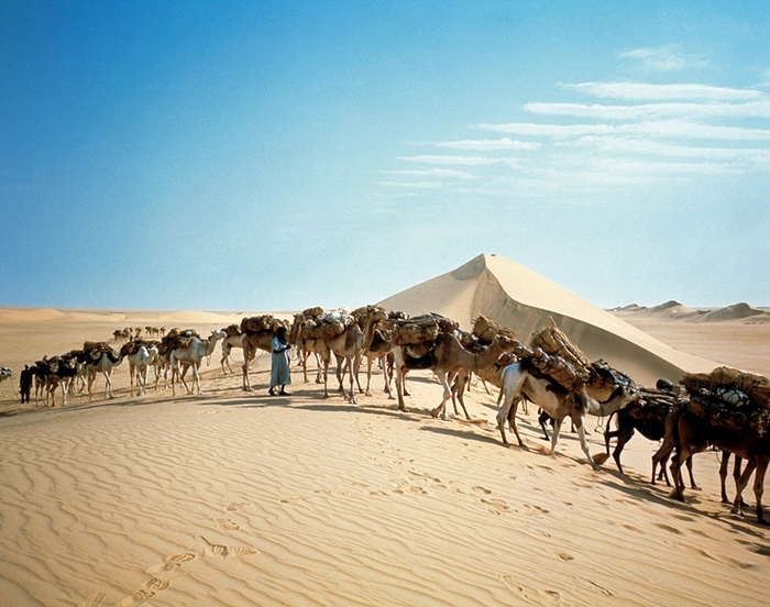 (Photo_02)　砂丘を越えるハウサ族の塩キャラバン　(ニジェール)　1972年　撮影：片平孝