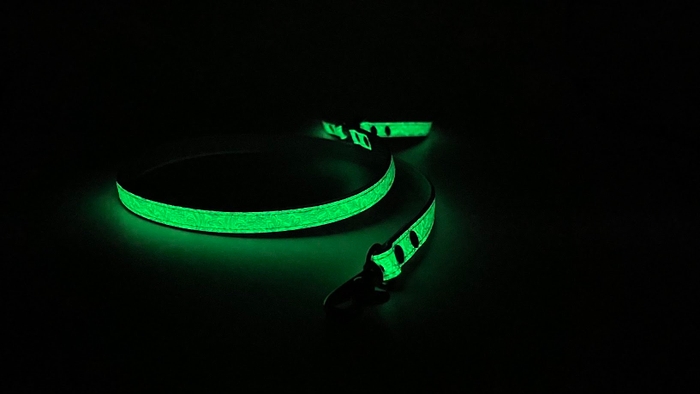 leash