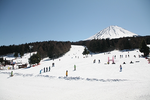 富士山の麓で出会いを