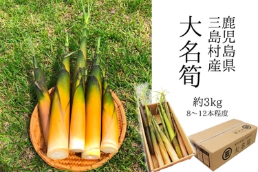 濃厚な味と歯ごたえが特徴の「筍の王様」！  産地直送通販サイト「ＪＡタウン」で鹿児島県産「大名筍」の販売開始！