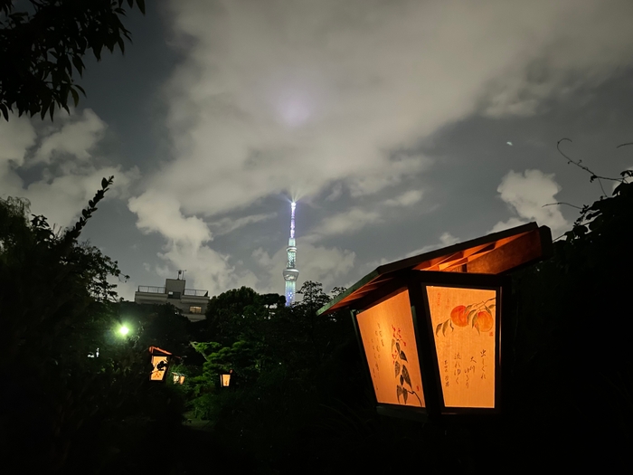 夜の向島百花園