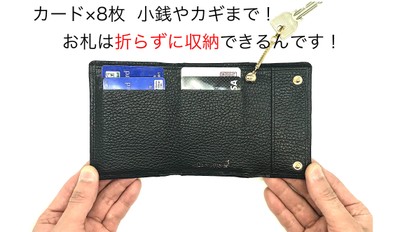 メインウォレットとしての収納力