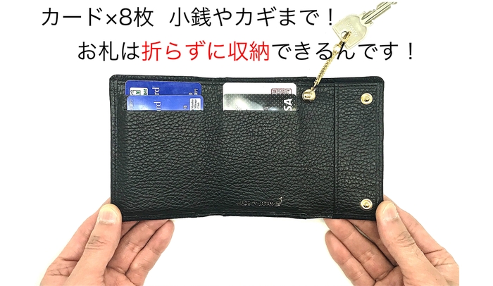 メインウォレットとしての収納力