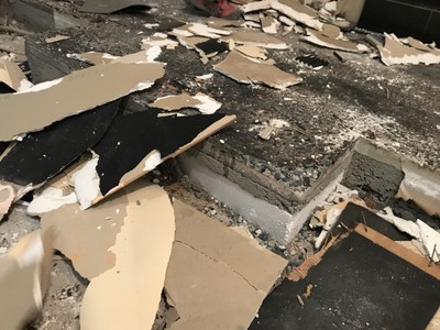 解体の様子1