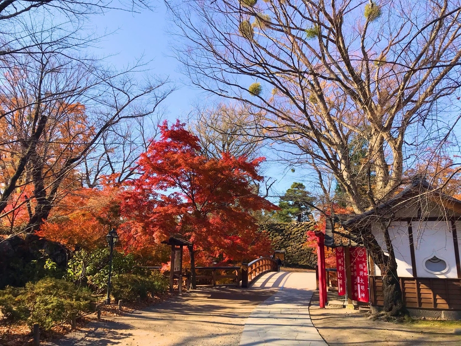 小諸城址懐古園 黒門橋と紅葉谷