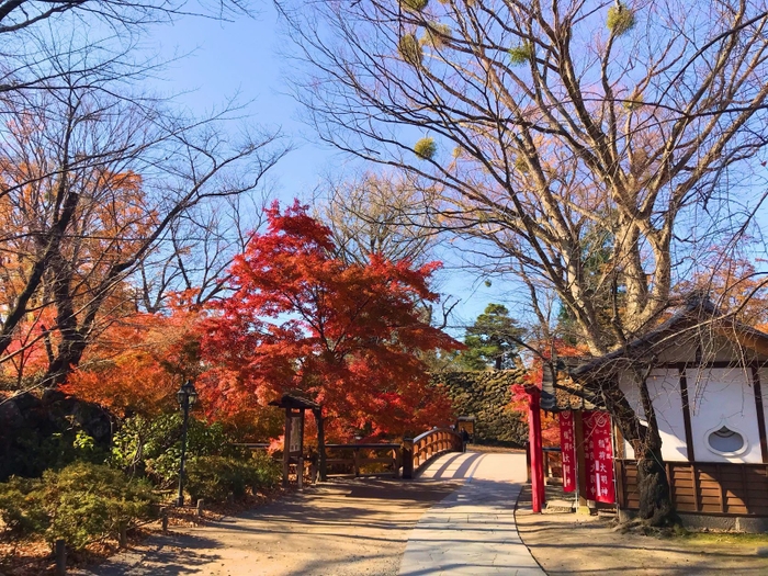 小諸城址懐古園　黒門橋と紅葉谷