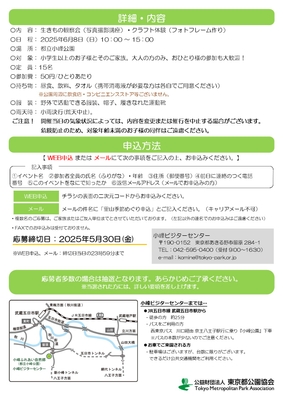 チラシ裏