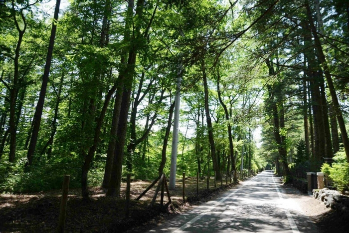 避暑地、軽井沢。夏も気持ちいいです