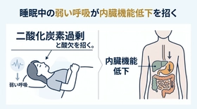 眠りづらさの正体──シリーズ第5回　浅い呼吸で増えたCO₂が細胞の環境を乱し、内臓機能をさらに低下させる