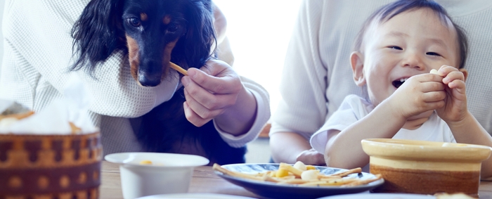 ヒトとワンコがいっしょに食べる無添加おやつ