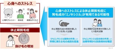 【新知見】心身へのストレスによる抜け毛の増加（休止期脱毛症）に
発毛成分「ミノキシジル」が有用な可能性を見出す

