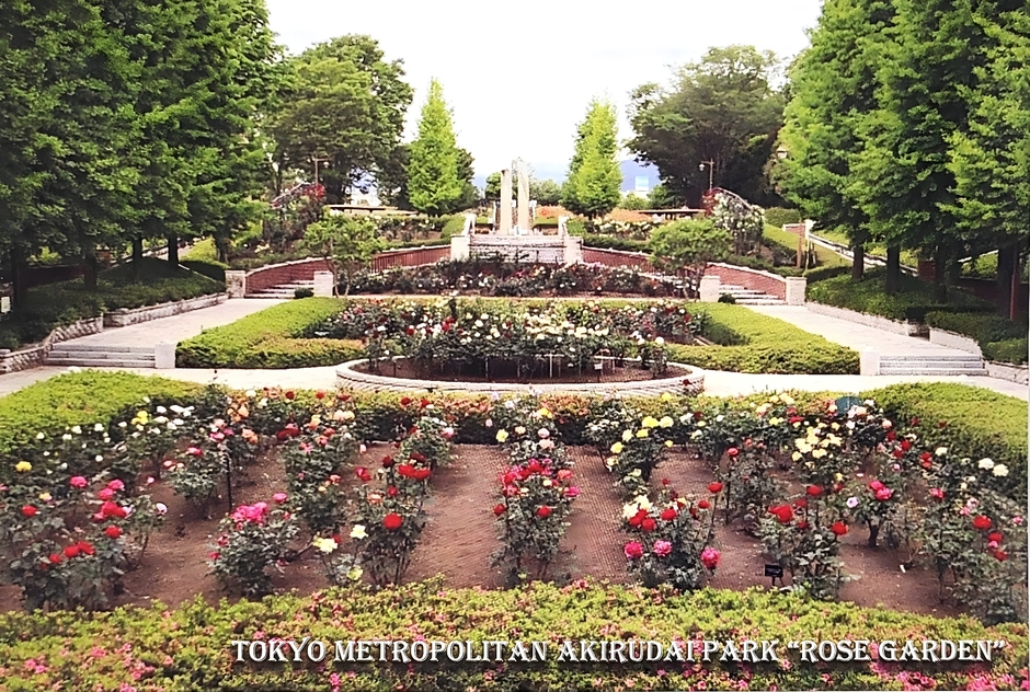 景品ポストカード(イメージ)