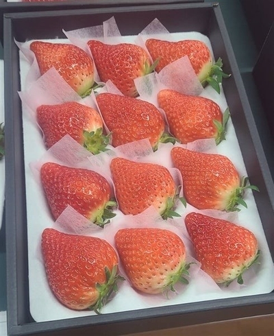 ぎふの苺「華かがり」