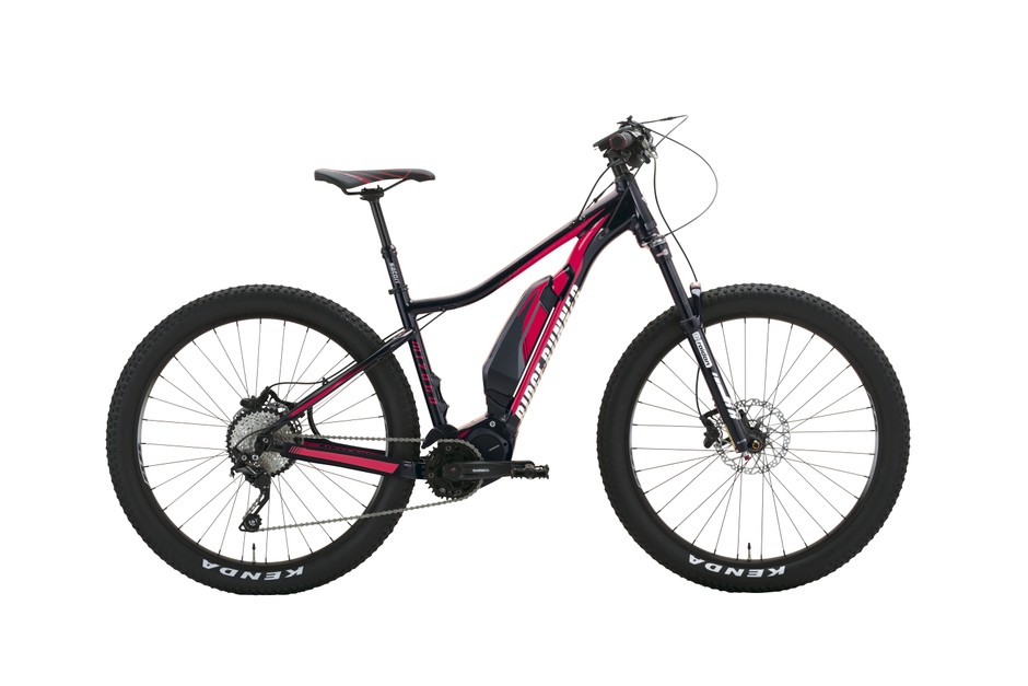 2月15日～3月31日の期間、E-BIKE購入者全員に オプションセットを 