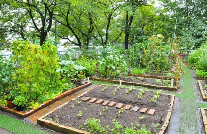 アメニティーライフ八王子＜菜園＞