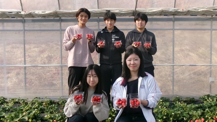 農学部生が「なら近大農法」で栽培した「近大ICTイチゴ」を道の駅「クロスウェイなかまち」にて数量限定で初めて販売