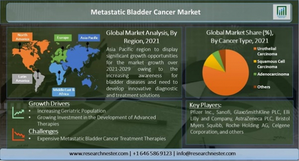 転移性膀胱癌市場ー癌の種類別（尿路上皮癌、扁平上皮癌、腺癌など）および治療の種類別（外科、化学療法、免疫療法、放射線療法、標的療法）-世界の需要分析と機会の見通し2021-2029年