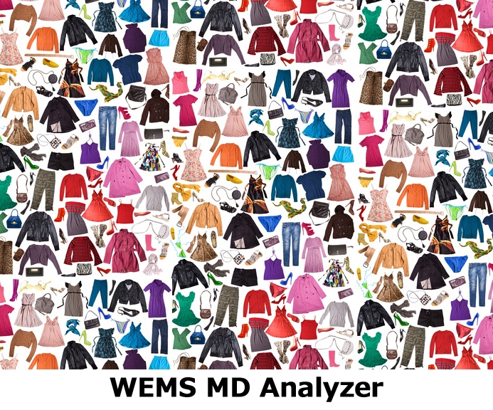 WEMS MD Analyzer