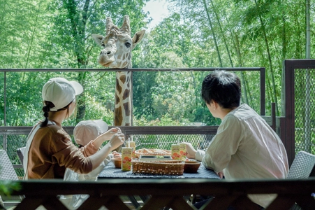 毎年恒例！動物園×グランピングのTHE BAMBOO FOREST　 キリンと朝食がとれるオプション 24年度の営業を開始