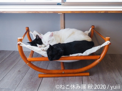 作品展示3