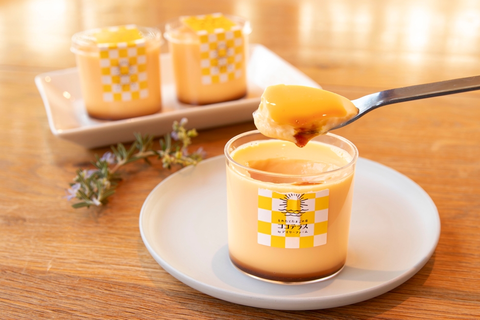 ココテラスの看板商品、たまごいっぱいプリン