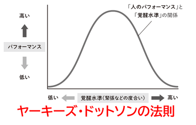 ヤーキーズ・ドットソンの法則