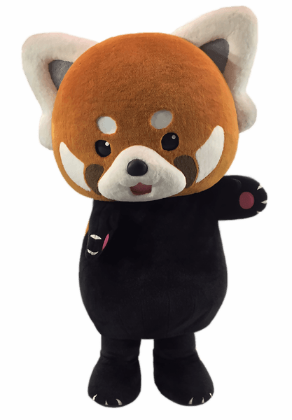 レッサーパンダ風太くん