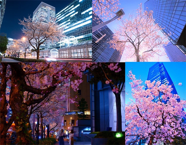 <昨年の優秀賞作品の一部>