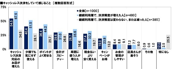 キャッシュレス決済をしていて感じること（継続利用層軸）