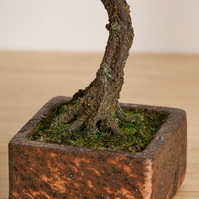 「A-BONSAI(R)Bunjin 信楽焼鉢」アップ