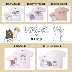 TV放送も開始！叱られてるのに癒される「しかるねこ」 「OJICO」から初のコラボレーションTシャツが登場！