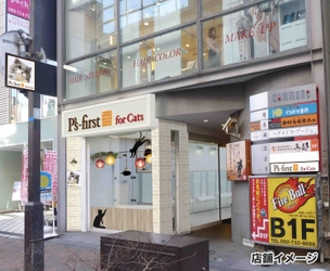「子猫」専門のペットショップが福岡天神に登場　 ペッツファースト for Cats 福岡天神店 5月18日オープン
