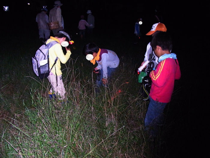ライトが頼りです。見つかるかな?