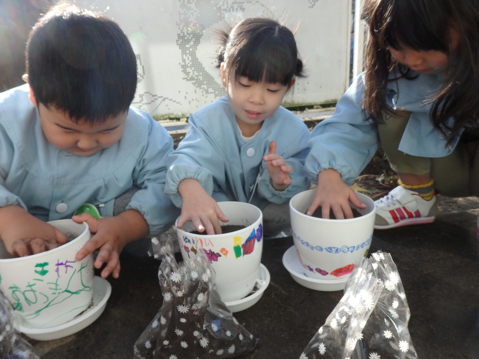 楽しそうにチューリップの植付けをする園児たち