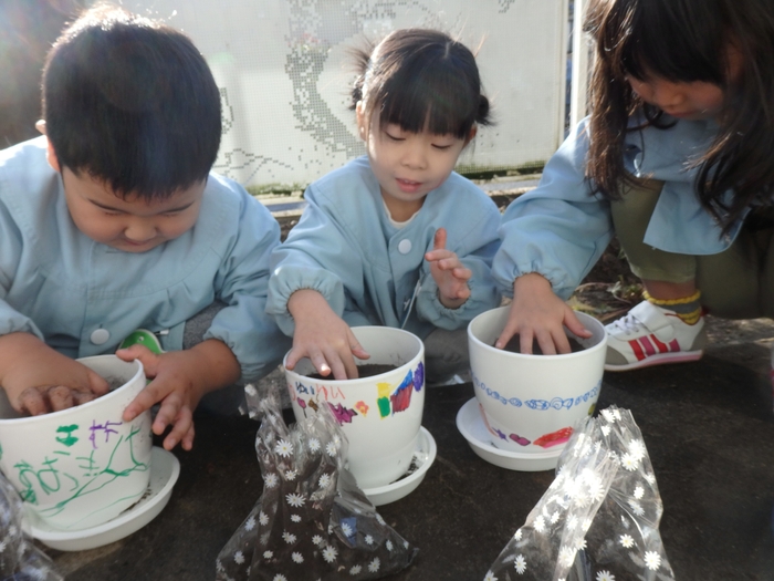 楽しそうにチューリップの植付けをする園児たち