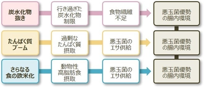 ＜知るほど得する大腸レポート 第2弾＞ 寝正月に暴飲暴食…年明けの過度なダイエットは不腸のもと？